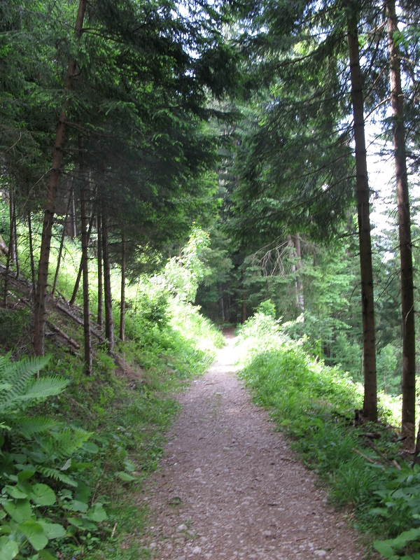 Carl-von-Linde-Weg