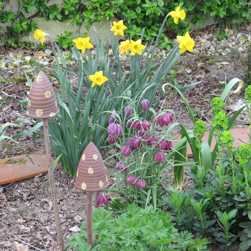 Narzissen und Schachbrettblumen