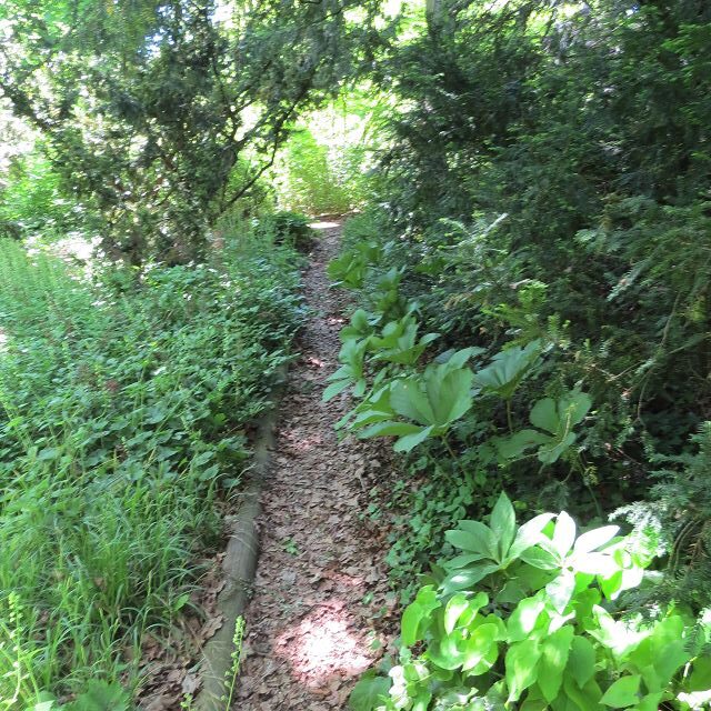 Schattengarten