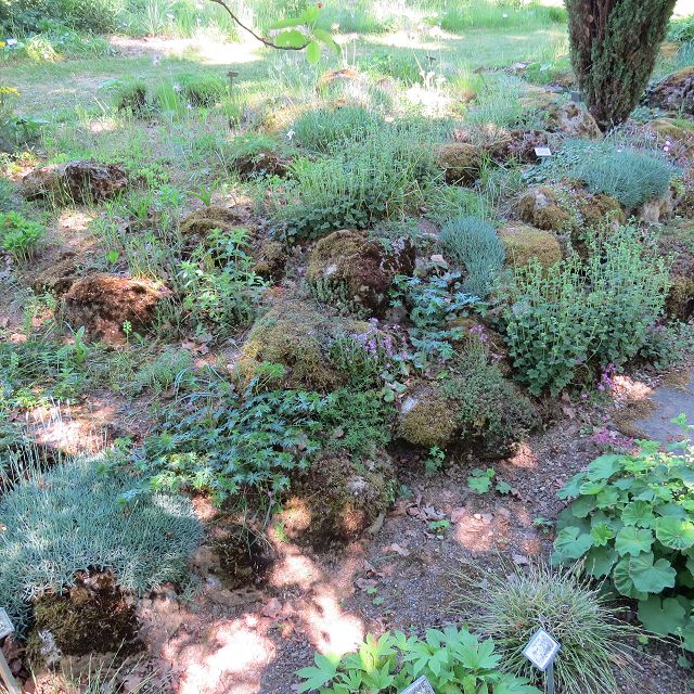 Kiesgarten