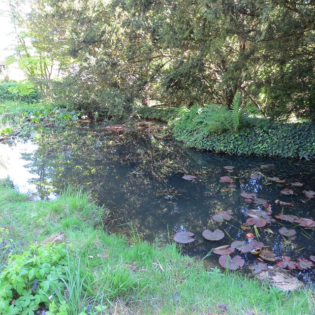 Schattengarten