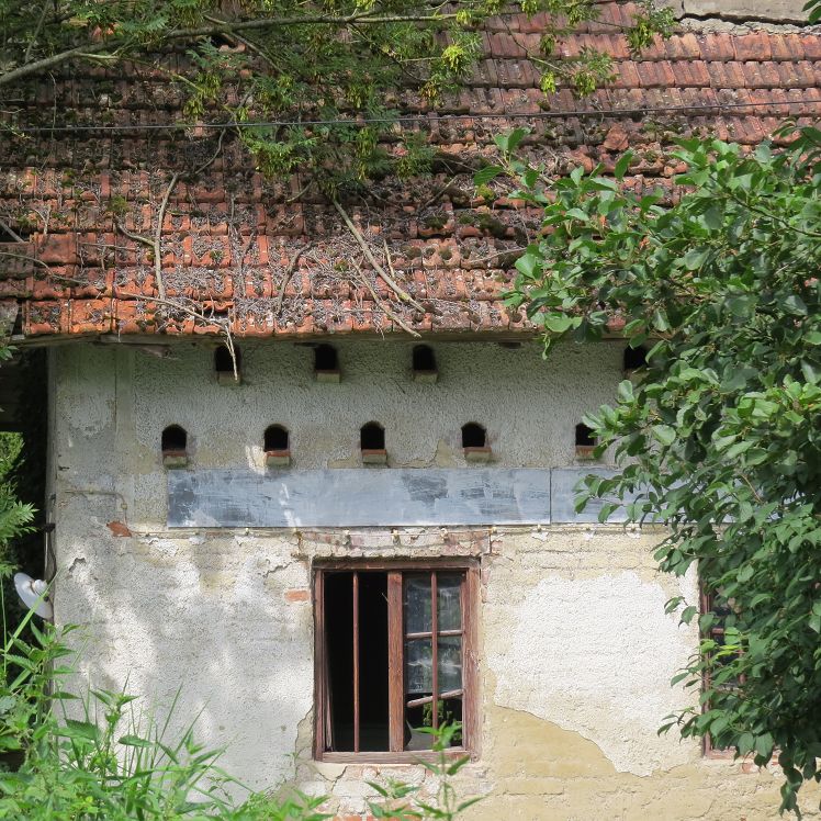 Spörer Mühle