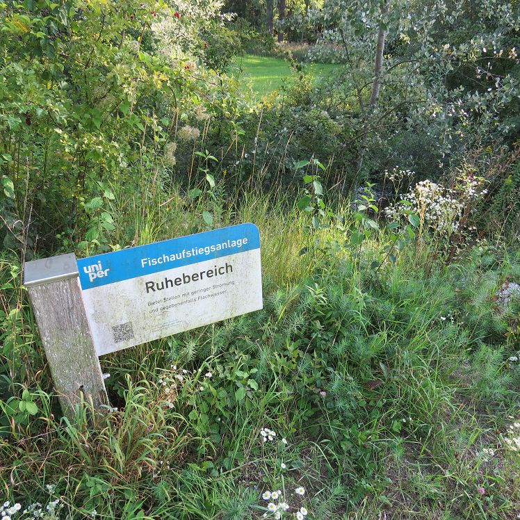 Fischaufstiegsanlage Niederaichbach