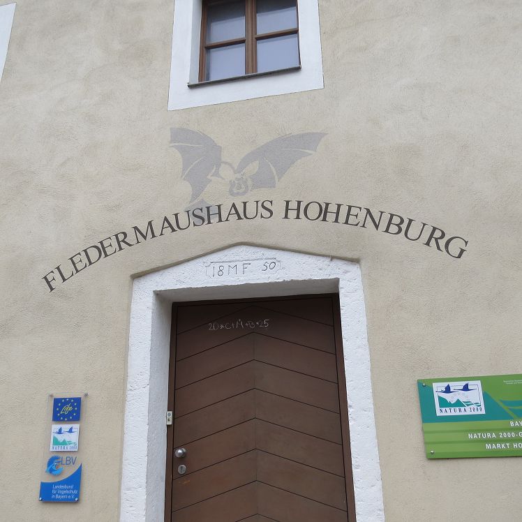 Fledermaushaus Hohenburg