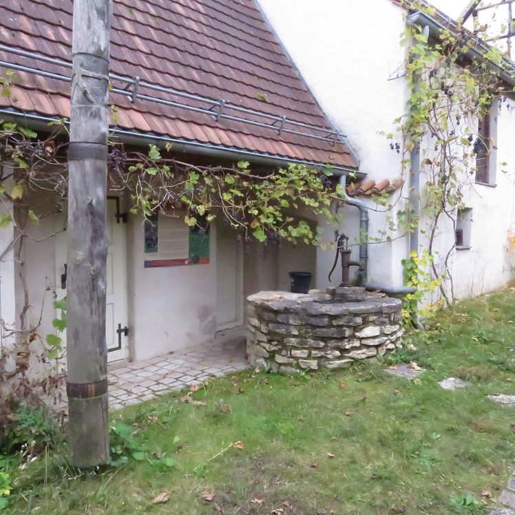Der Garten des Fledermaushauses