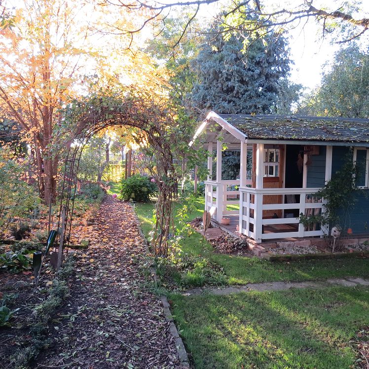 Blick in den Garten
