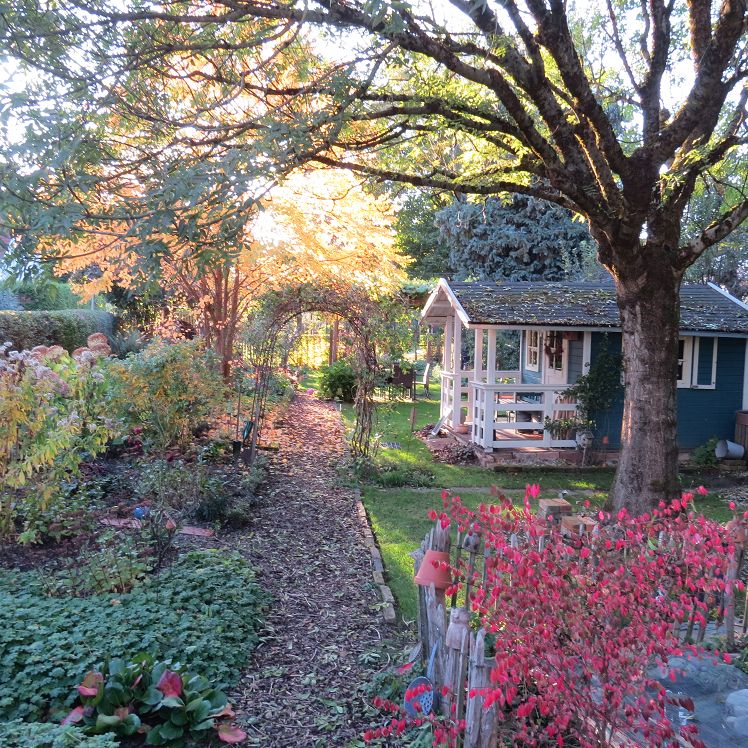 Blick in den alten Garten mit dem blauen Garténhäuschen