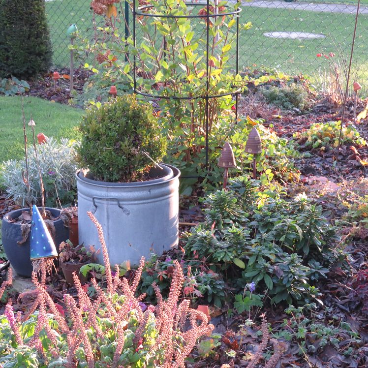 herbstliches Staudenbeet