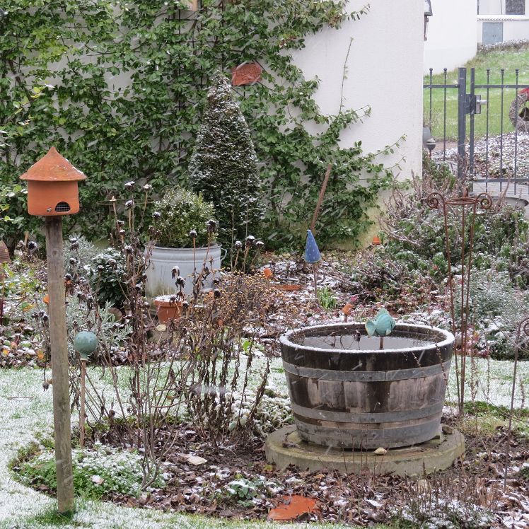 Blick auf den Miniteich und das Staudenbeet