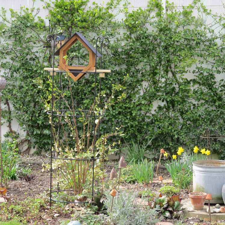 Staudenbeet mit der wohlriechenden Heckenkirsche