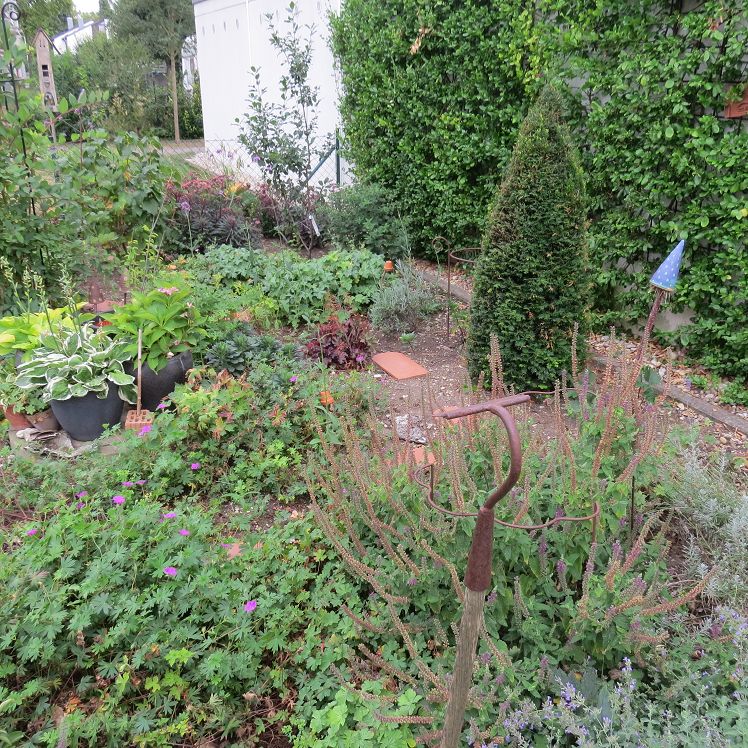 Blick ins Staudenbeet