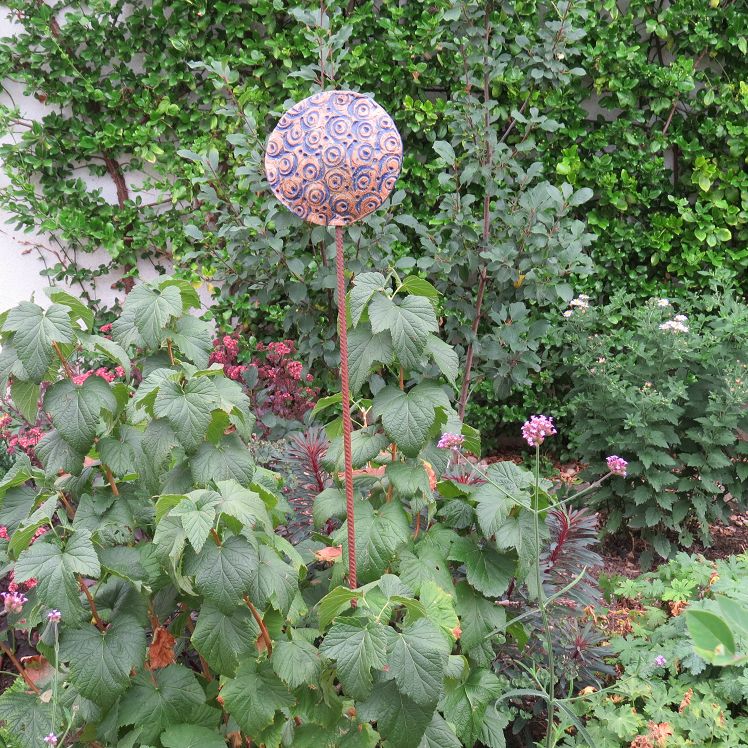 Schwarze Johannisbeeren und Faulbaum