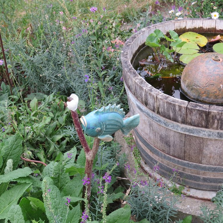 Die kleine Blumenwiese am Miniteich