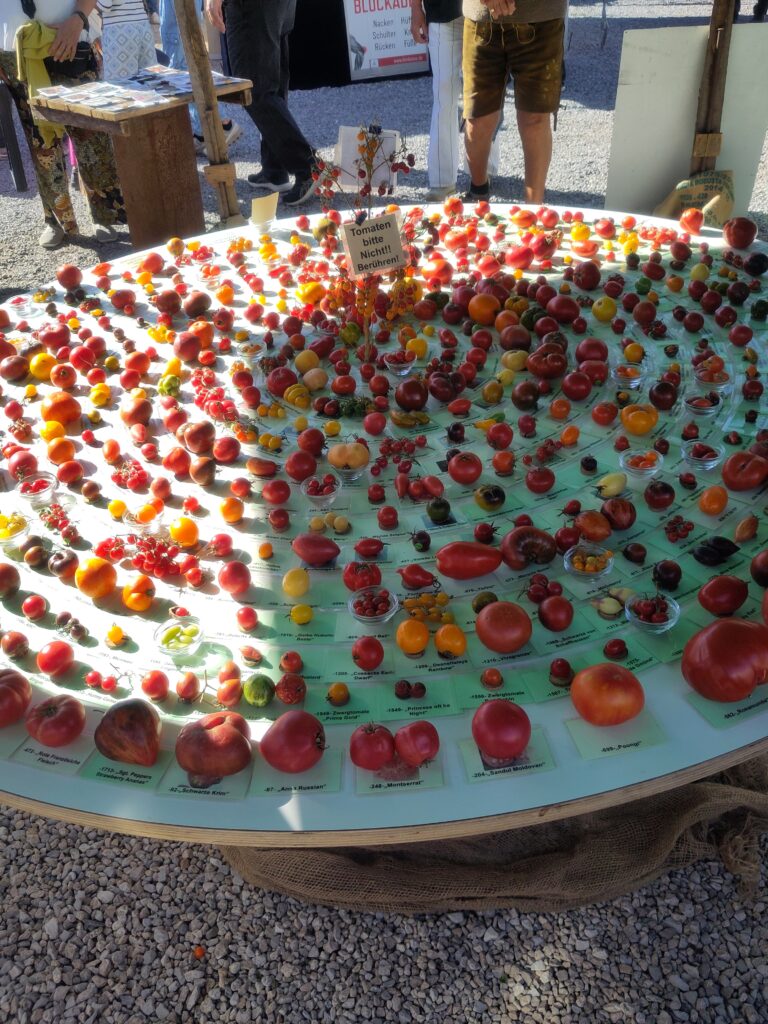 Tomatenauswahl